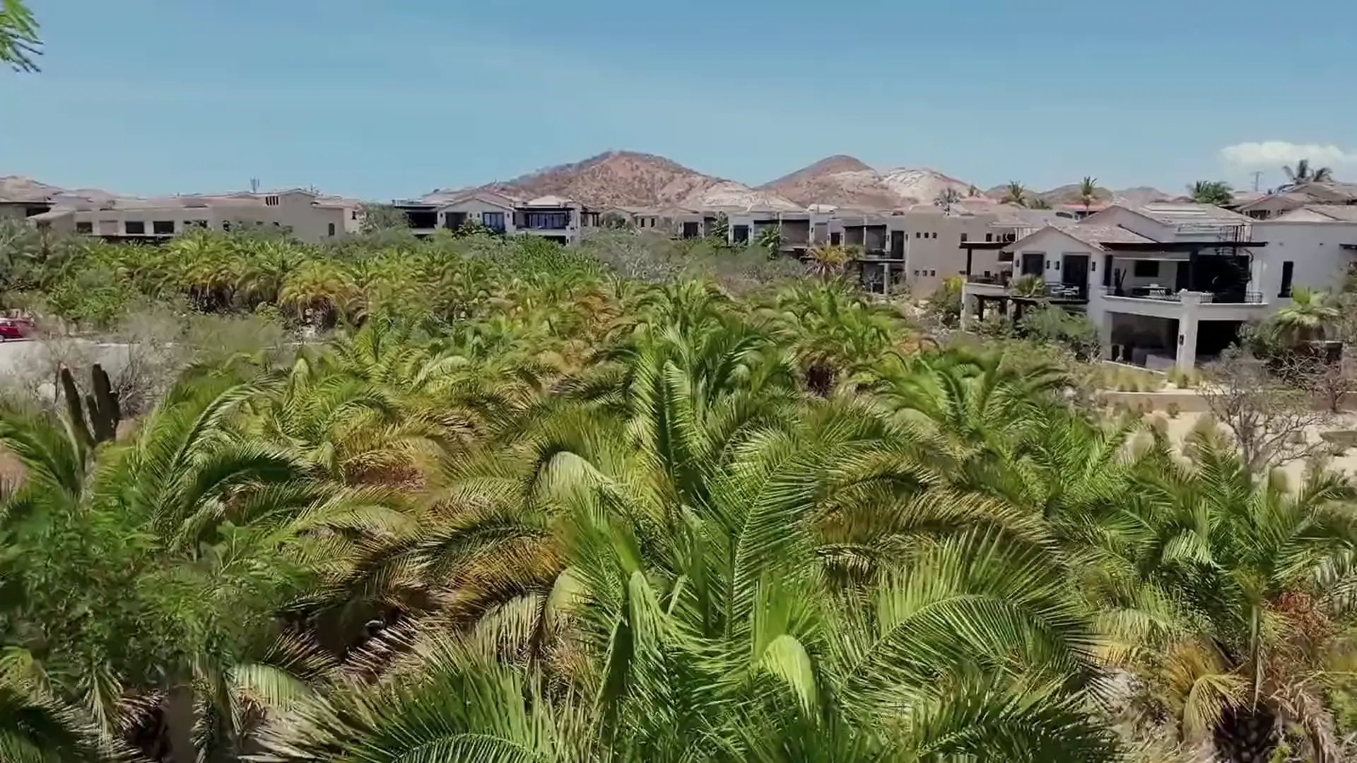 Vista aerea del palmar y las villas de Palmilla, donde esta Manoma Spa